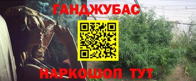 прущий лед Кингисепп