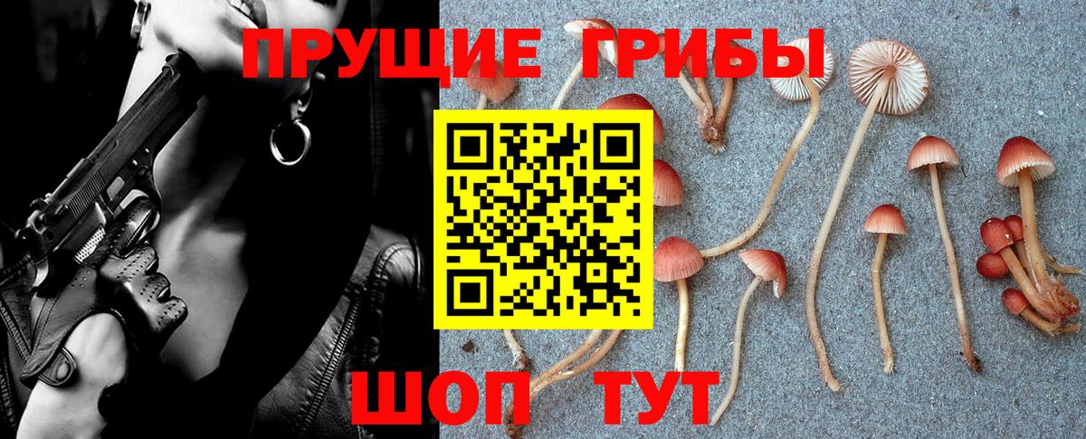 Псилоцибиновые грибы мицелий Ковров