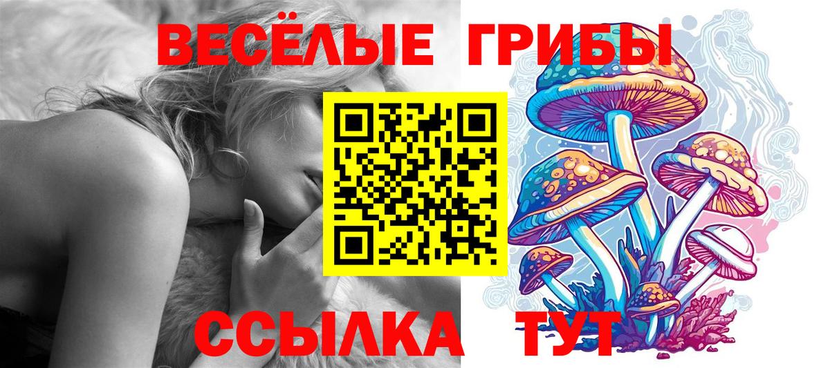 Ковров  Галлюциногенные грибы ЛСД  Вход с VPN  Галлюциногенные грибы GOLDEN TEACHER 